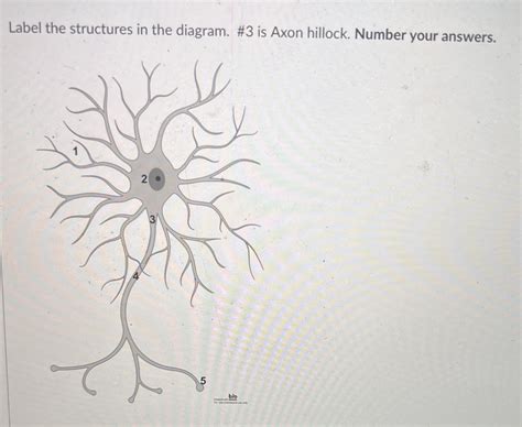 Solved Label the structures in the diagram. #3 ﻿is Axon | Chegg.com