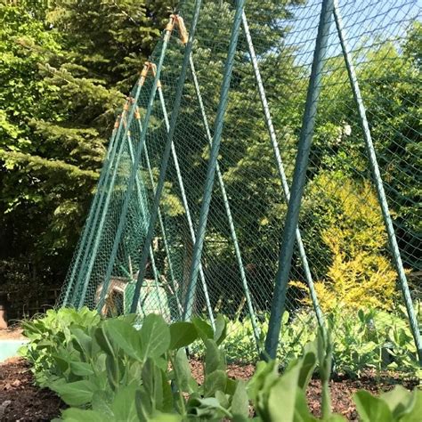 Plantenstokken 120 Cm Kopen 5 Stuks Tuinartikelen Nu