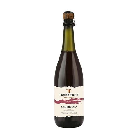 Rượu Vang Đỏ Lambrusco Amabile Rosso Terre Forti 750Ml Nam An Market