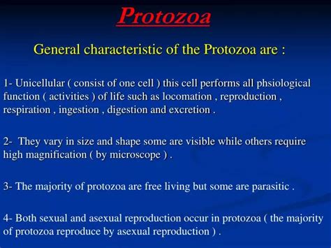 Ppt Protozoa Powerpoint Presentation Free Download Id5660650