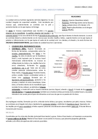 CAVIDAD ORAL ANEXOS NO GLANDULARES Y FARINGE Pdf