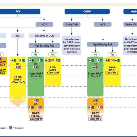 Algorithm For Dual Antiplatelet Therapy Dapt In Patients With An