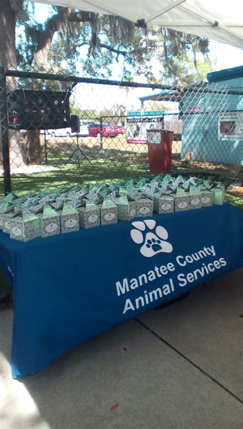 Shelter Miracle on 25th Street W Brings Holiday Joy to All Supporters