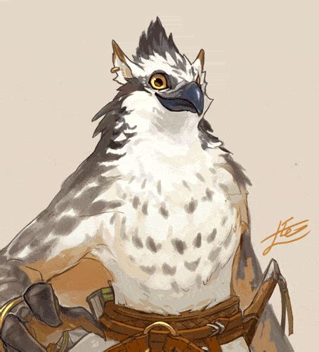 Oc Art Tictus The Aarakocra Druid Artofit