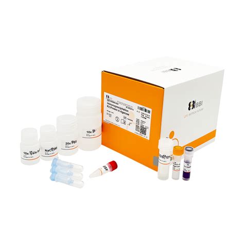 免疫共沉淀试剂盒ipco Ip（protein A 琼脂糖）immunoprecipitation Kit Ipco Ip