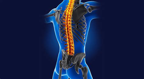 Spine Surgery Specialists Doctors Pune Vencer Hospital