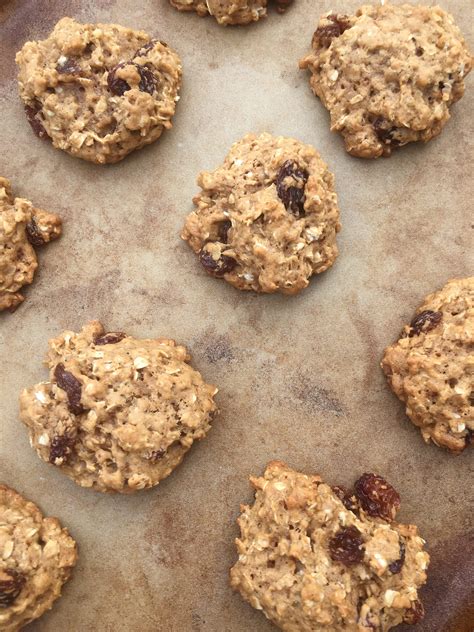 Healthy Oatmeal Raisin Cookies SugarFree DairyFree Momma On The