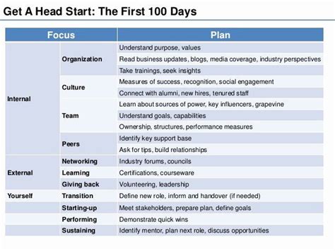 20 100 Day Plan Template Excel