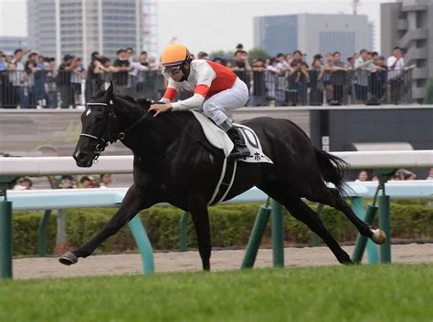 【札幌新馬戦】パワーホール 4馬身逃げ切り！横山和「期待通りの走りをしてくれた」 スポニチ競馬web