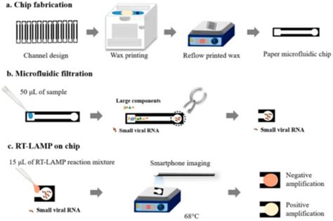 Micromachines | Free Full-Text | Integrated Microfluidic-Based ... 