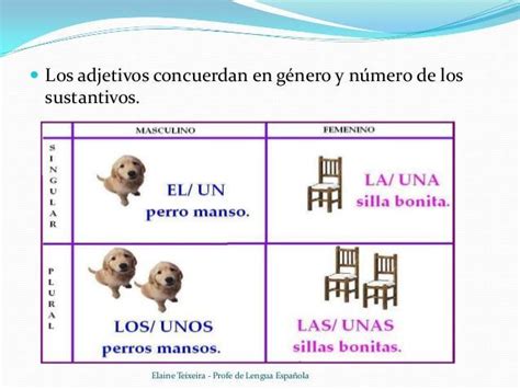 Un Adjetivo Que Concuerde En Genero Y Numero Con El Sustantivo De Silla