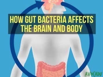 Warning Signs You Have An Unhealthy Gut And What To Do About It