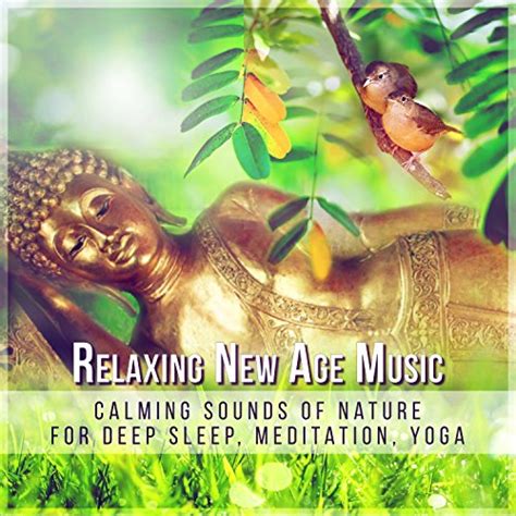 Amazon Co Jp Relaxing New Age Music Calming Sounds Of Nature For Deep