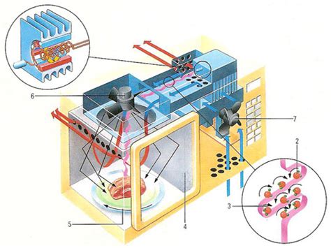 Microwave Radiation