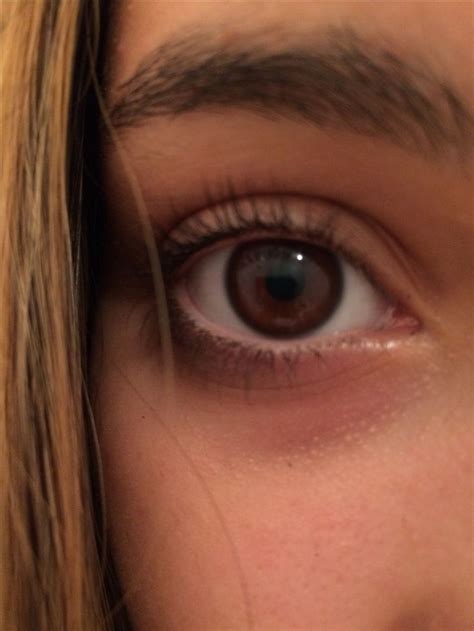 Qual Cor De Lente Combina Olhos Castanhos Escuro Sobre Os Olhos