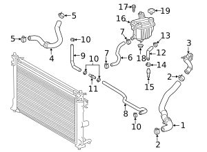 16281 24010 Engine Coolant Bypass Hose 2019 Toyota Corolla Sparks