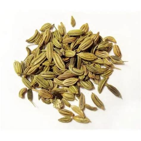 Samar Agriate 12 Months Green Fennel Seed Packaging Size 10gm 1 Kg