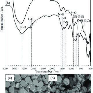 FT IR Spectra And SEM Images Of The ZnO Particles Before A And After