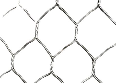 2mm Galvanized Pvc Hexagonal Double Twisted Hexagonal Wire Mesh Protect