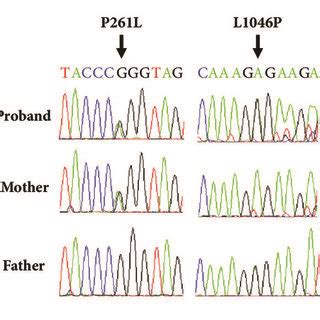 Clinical and genetic findings from proband with compound heterozygous ...