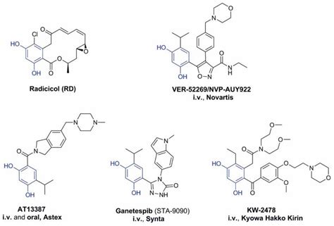 Chemical Structures Of Resorcinol Based Hsp90 Inhibitors Rd And The Download Scientific