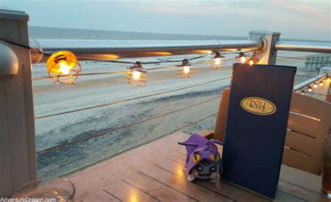 Our Review Of The Reef Best St Augustine Restaurant On The Water