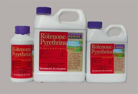 What is rotenone insecticide