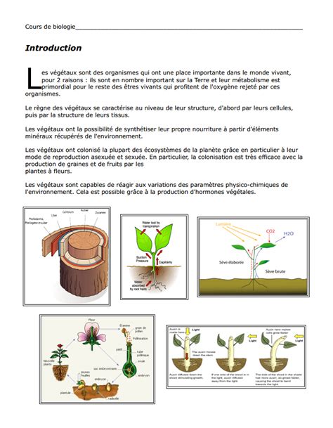 Cours Biologie V G Tale Svi