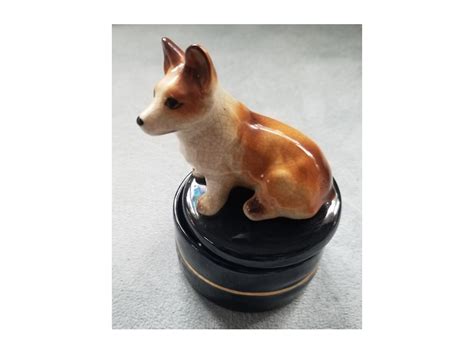 Corgi Sitting On Box Bucksview Ts