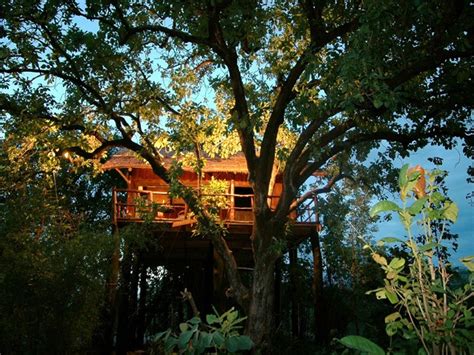 8 Best Cottages In Wayanad Treehouse Resorts In Wayanad