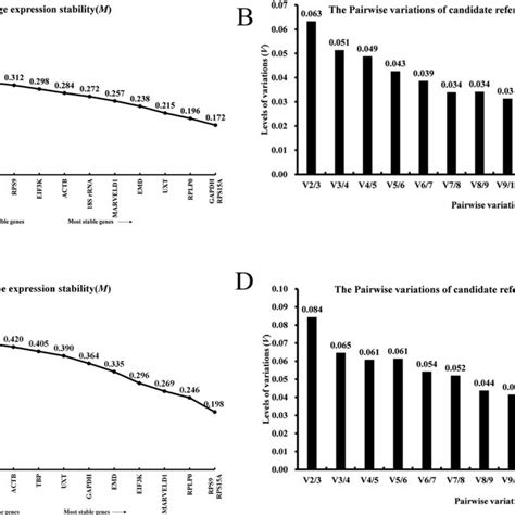 Expression Stability And Optimal Reference Genes Among The Candidate