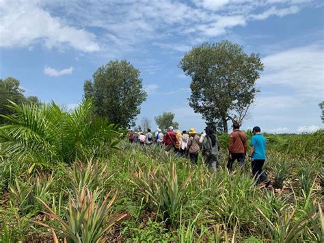 Field Visit To Palm Oil Plantation In Riau Indonesia Nieuwsbericht