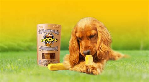 Yak Cheese for Dogs – Tibetan Dog Chew