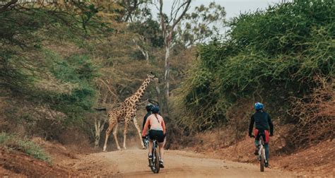 En Bicicleta Por La Base Del Kilimanjaro Oclaa Adventures Por