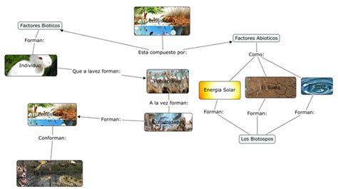 Mapa Mental De Factores Bioticos Y Abioticos Tados The Best Porn