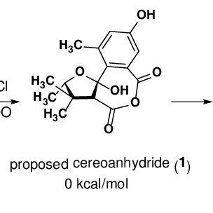 Structures Investigated And Their Relative Energies In Kcal Mol