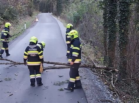 Baum auf Straße Freiwillige Feuerwehr Stiwoll