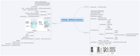 Osmosis Mind Map