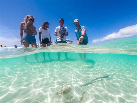 Ocean Rafting Adventure Best Tours For Whitsunday Holidays