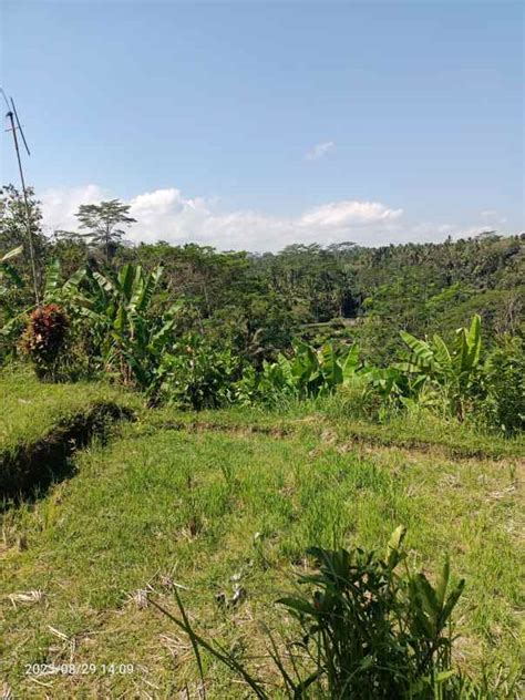 Tanah View Lembah Dan Jungle Dekat Samsara Resort Ubud Bali