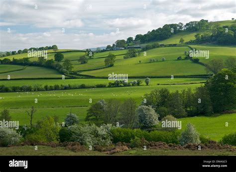 landscape  powys wales uk stock photo alamy