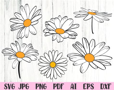 Daisy Svg Flower Svg Floral Svg Svg Files For Cricut Instant Etsy