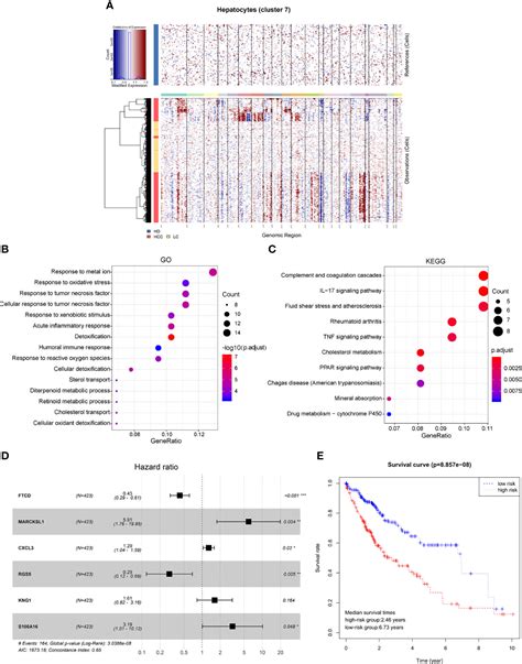 Frontiers Single Cell Rna Seq Analysis Reveals Microenvironmental