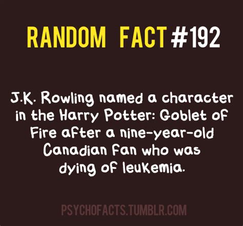 Potter Fact Harry Potter Fan Art Fanpop