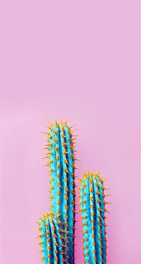 Neon Cactus - 744x1392 Wallpaper - teahub.io