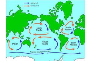 What Is a Gyre and How Does It Work? - Catalina Island Marine Institute