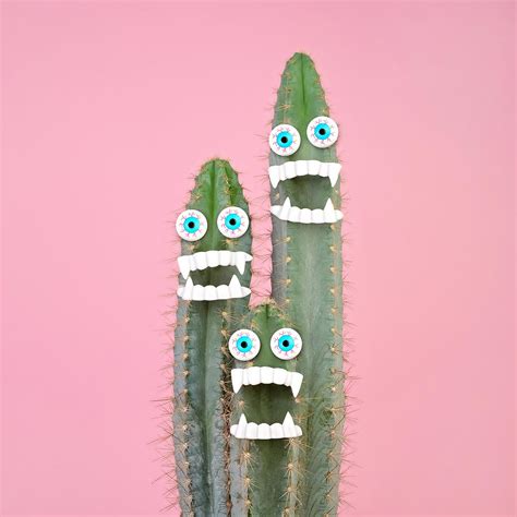 Cactus Plant With Teeth And Eyes Photograph By Juj Winn