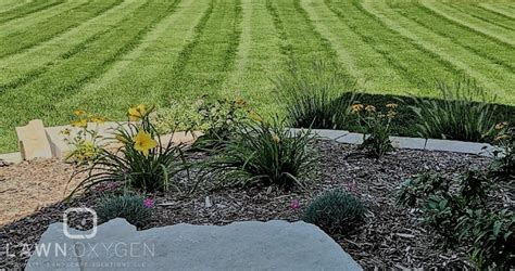 Lawn Treatment Ankeny Ia Lawn Care Services Lawnoxygen