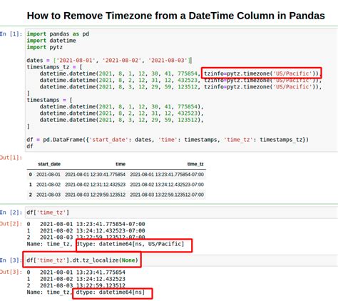 How To Get Today S Date In Pandas