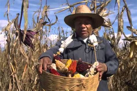 Sun El Abandono Del Campo Mexicano Revista La Campi A